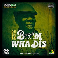 BURRO BANTON - BOOM WHA DIS RMX