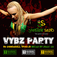 vybz_party.jpg