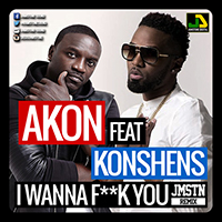 akonshens-iwannafkyou.jpg