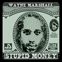 waynemarshallsasco-stupidmoney.jpg